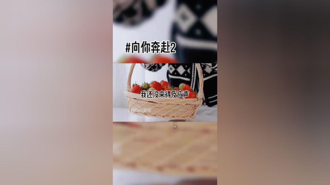 创作猫