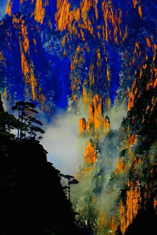 爱旅行的芭比