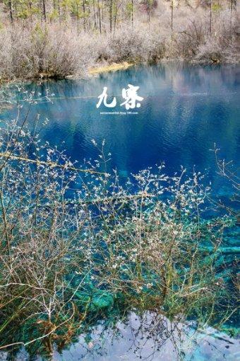 脸上长痘痘吃什么水果好?-专业的问答类网站