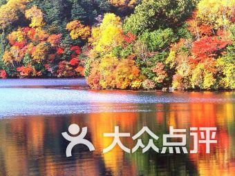 全民剧本大师内置菜单
