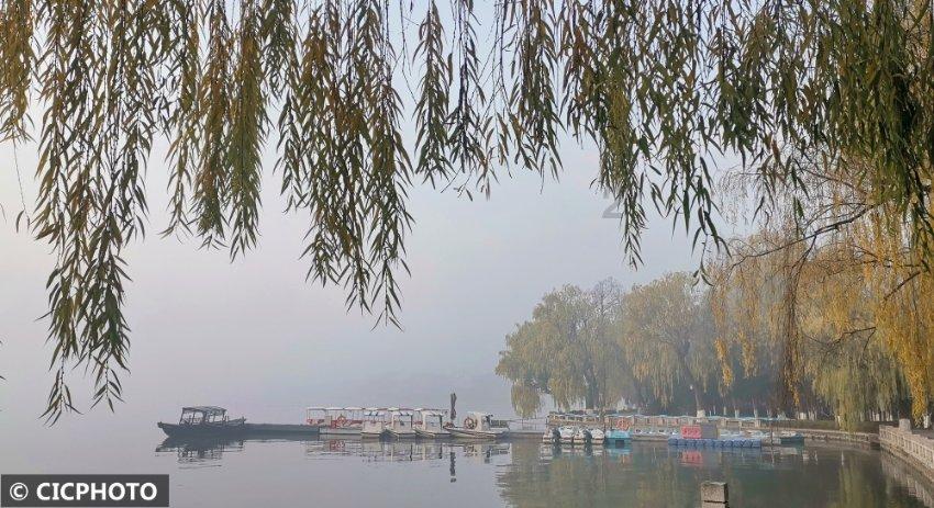 虫虫助手下载