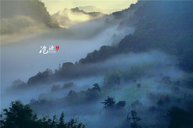 临齐街道 “雁归兴德” 工程激活人才引擎