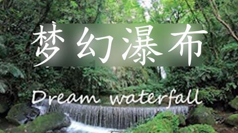 贪吃鼠吃豆豆
