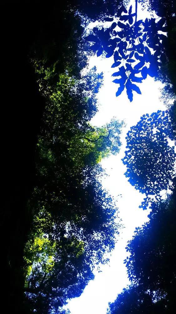 燃烧吧大脑装瓶子游戏