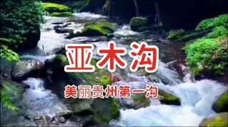 罗中凡︱有龙则灵——当代中国画百家迎新春联袂大拜年