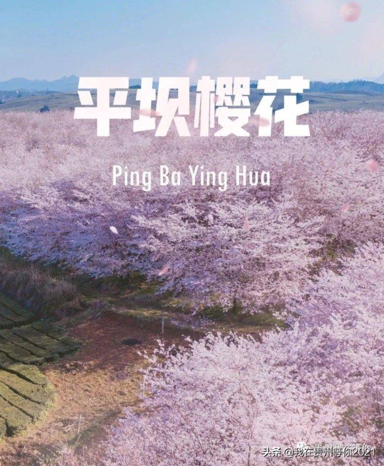程丽华当选重庆市政协主席 将积极履行职责