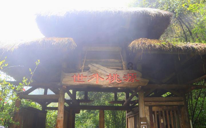狂热火车