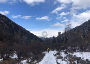 球球大作战下载最新版