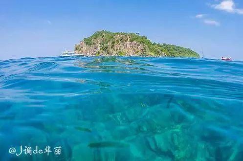 大雨林逃生