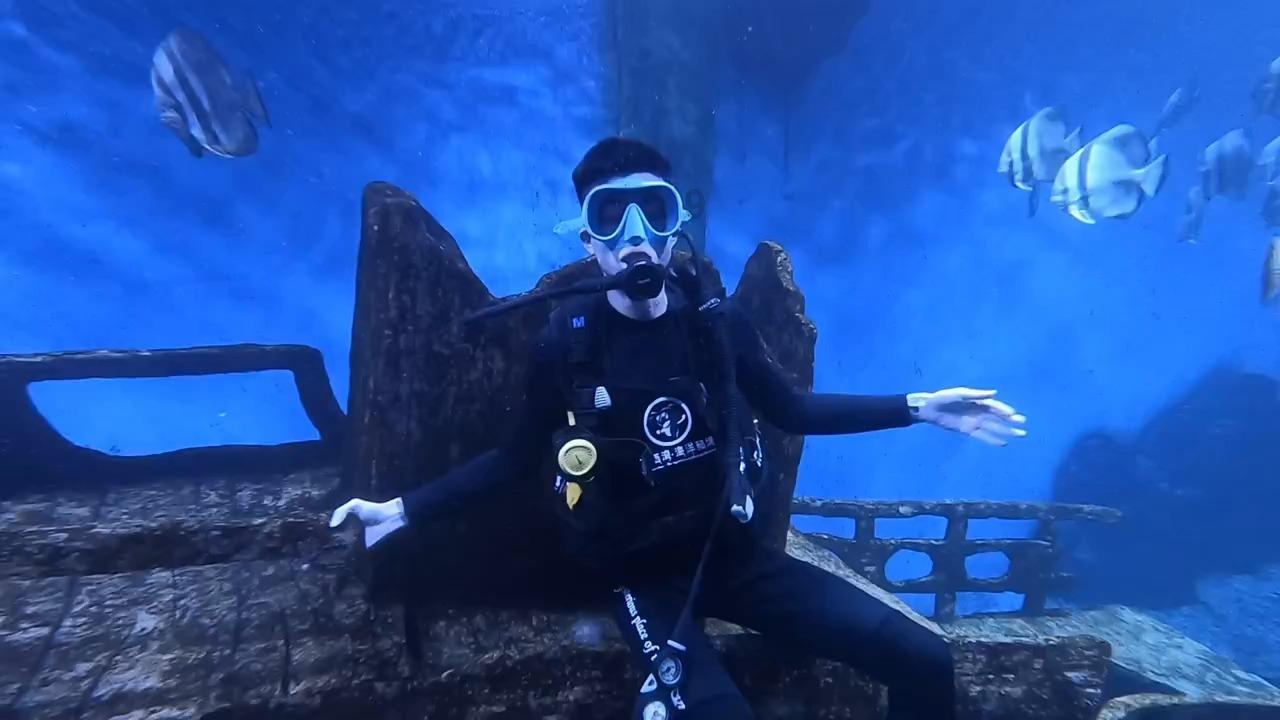 飞扬的独眼鸟