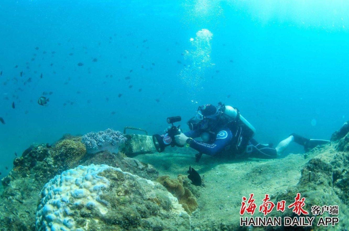 我从小在家养的一个狗 我结婚走了很不舍得经常哭怎么办？游戏画面