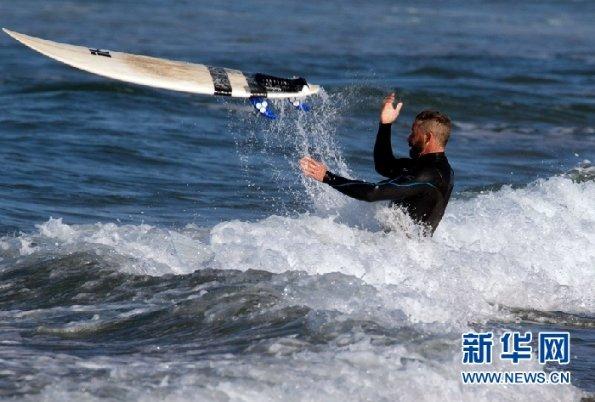 逃离大犀牛出没地