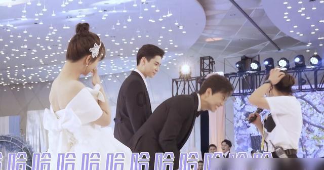 射击红色鸟