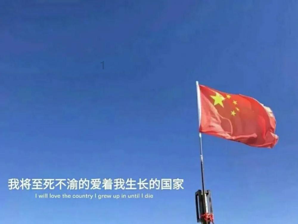 蓝狐视频