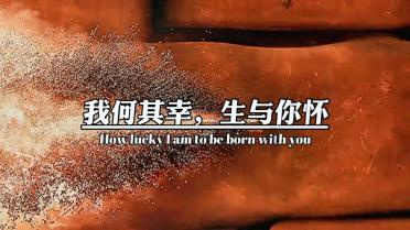 米乐米可森林大冒险