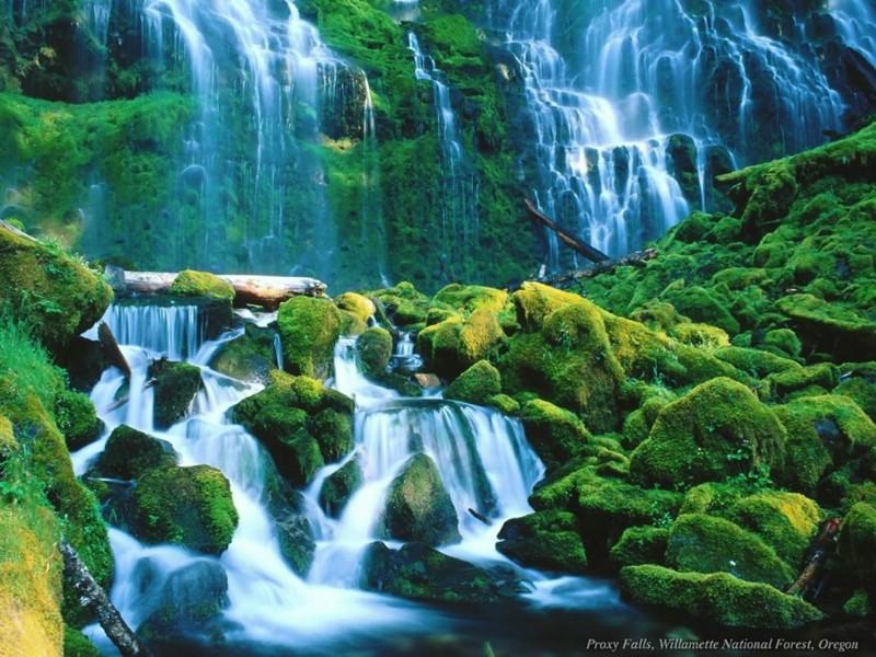 牛油果面包
