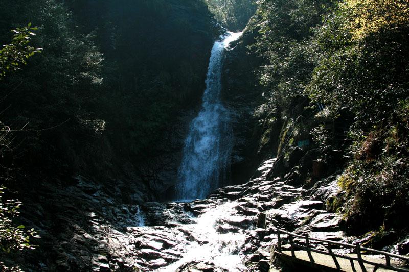 生化危机3