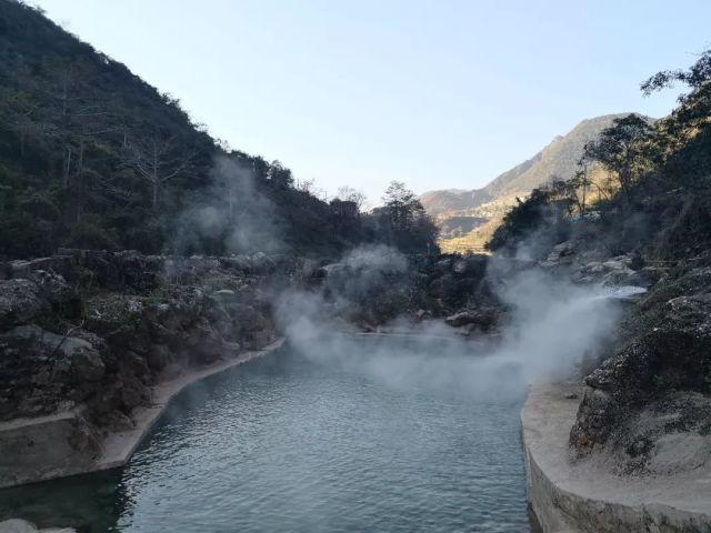 逃出林中村