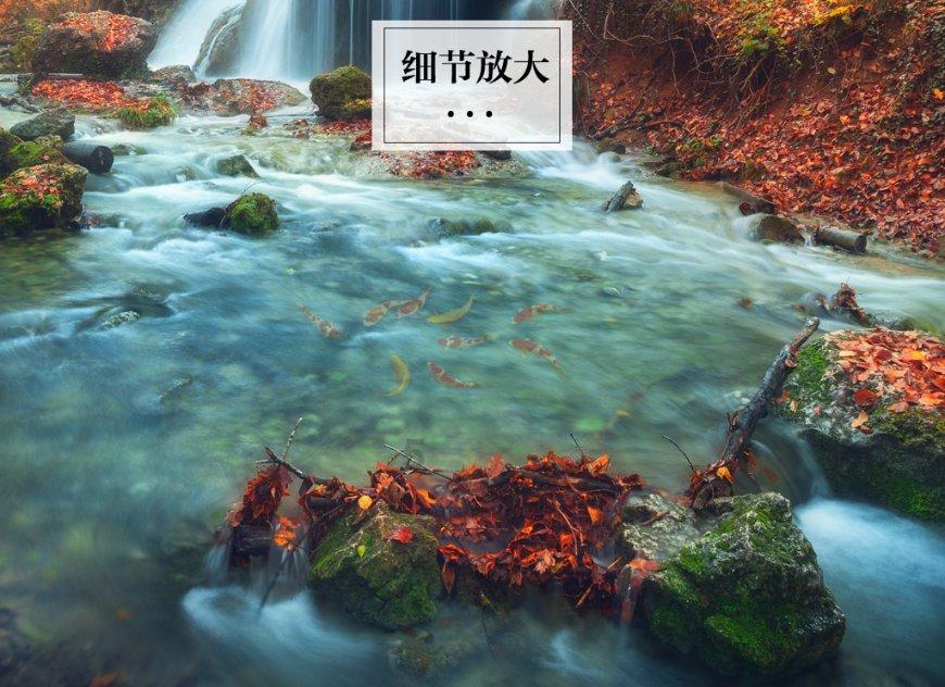 月光影视