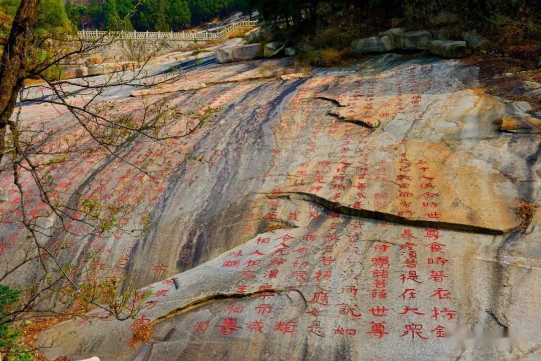 九张羊皮纸