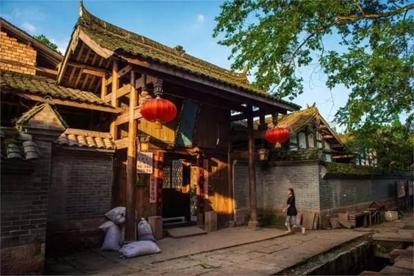 美人鱼游玩