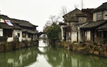 鲫鱼炖豆腐怎么做游戏画面