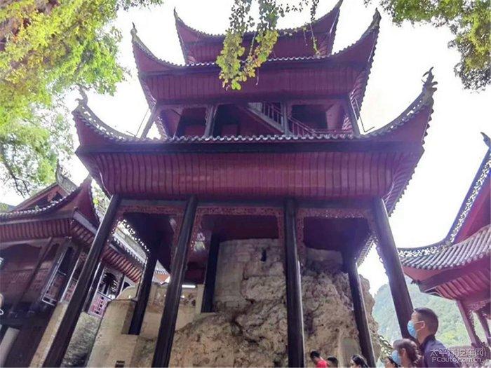访正大集团邢继宪：小鸡蛋走向大产业需要“闯三关”