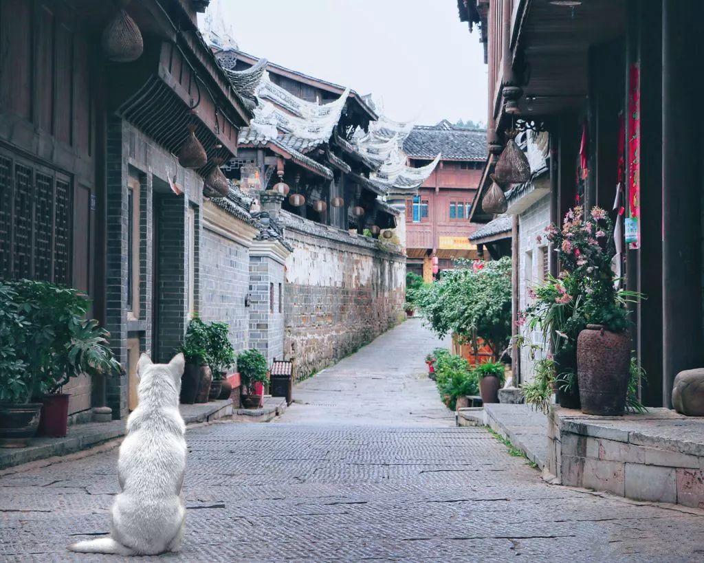 蛋糕物语