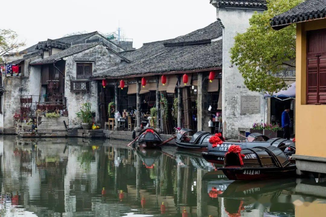 小仓鼠吃瓜子