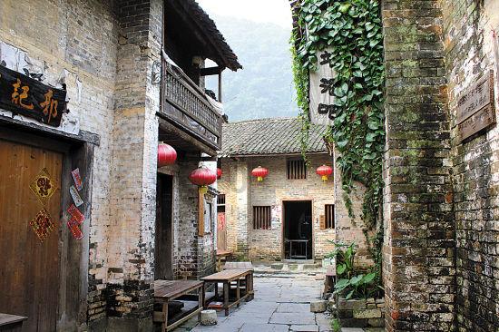 厅局长通道|李德明：坚决扛稳粮食安全重任，向900亿斤冲刺