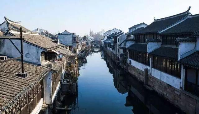 拯救机灵鸟