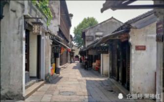 蛇蛇争霸
